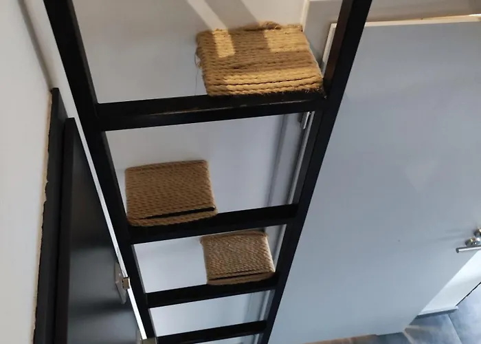 Ceglany Kosciuszki 133